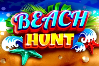 00325 beach hunt