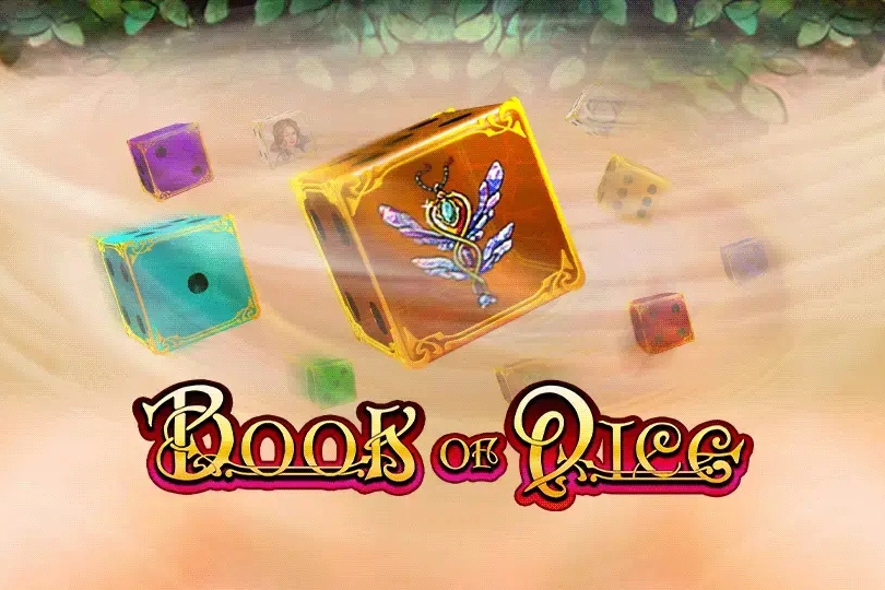 00572 book of dice