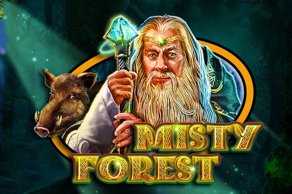 05373 misty forest