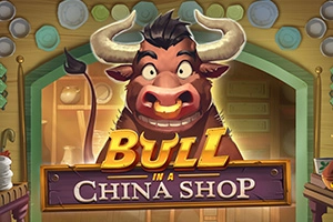 16368 bull in a china shop